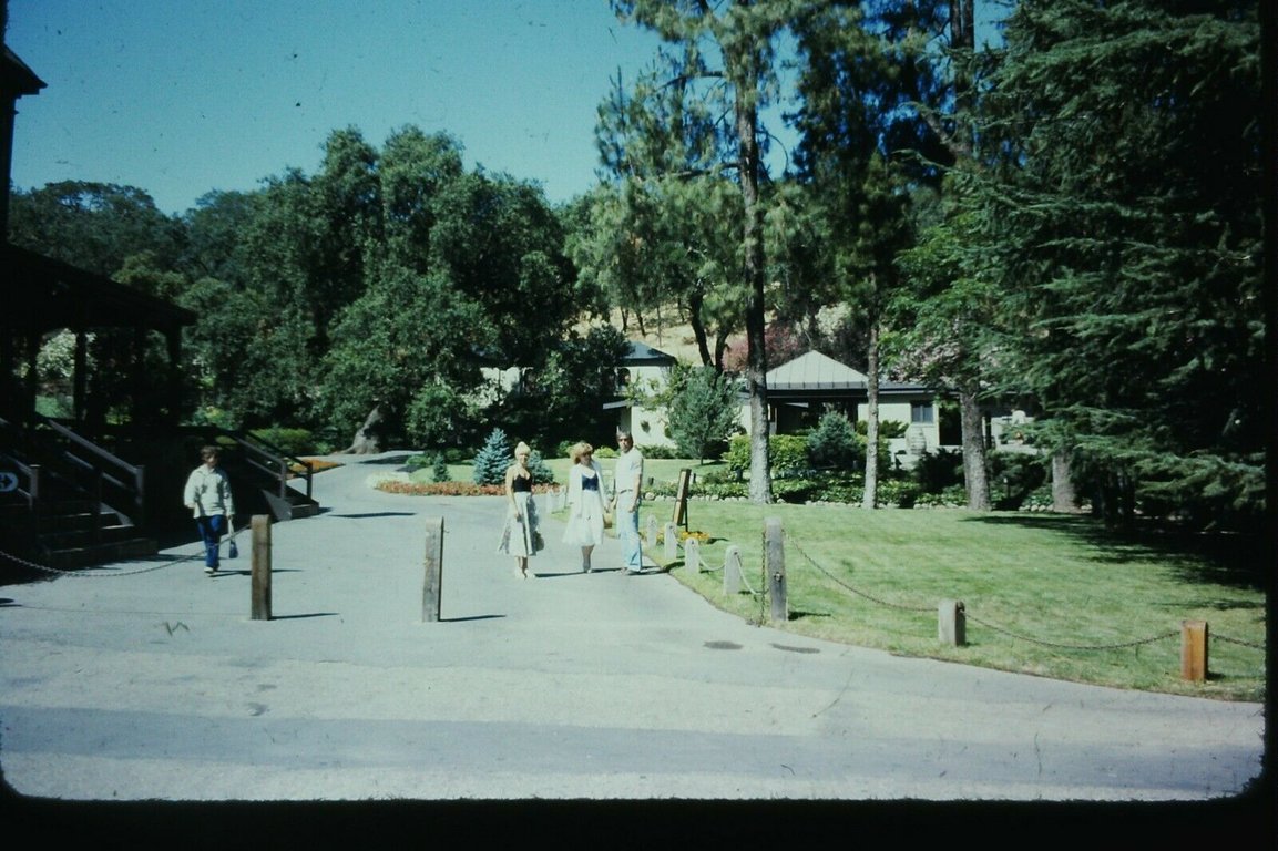 DCA 1978.jpg