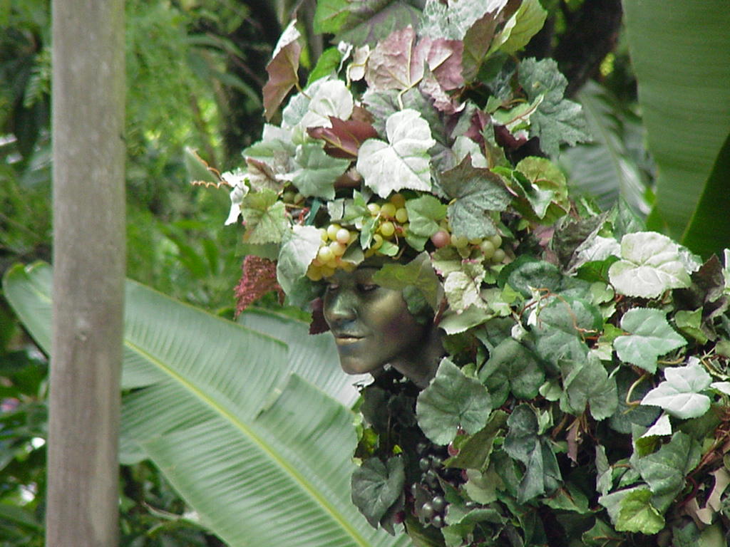 Devine 1 2003.JPG