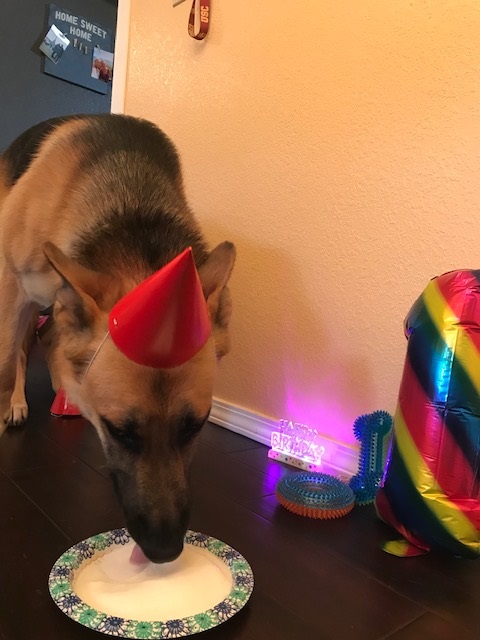 Diesel birthday.jpg