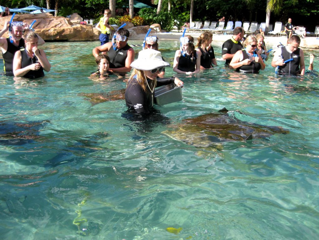 Discovery Cove31.jpg