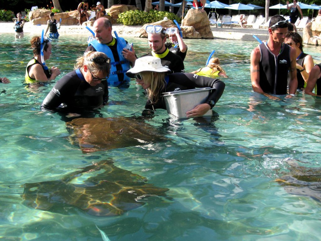 Discovery Cove32.jpg