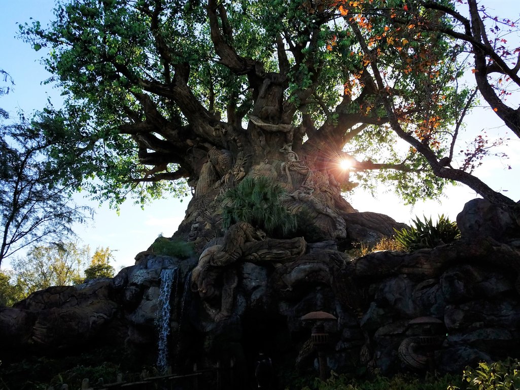 Discovery Island, at the base of Tree of Life.jpg