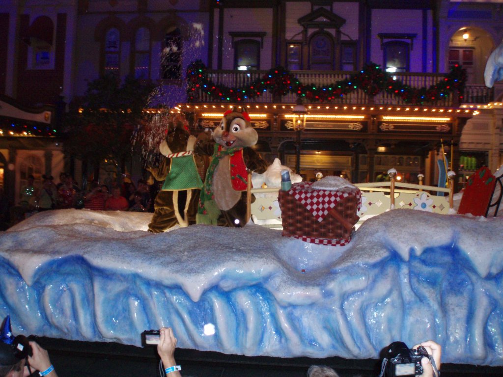 Disney December 2009 101.JPG