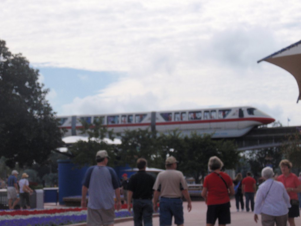 Disney World 2009 1071.JPG