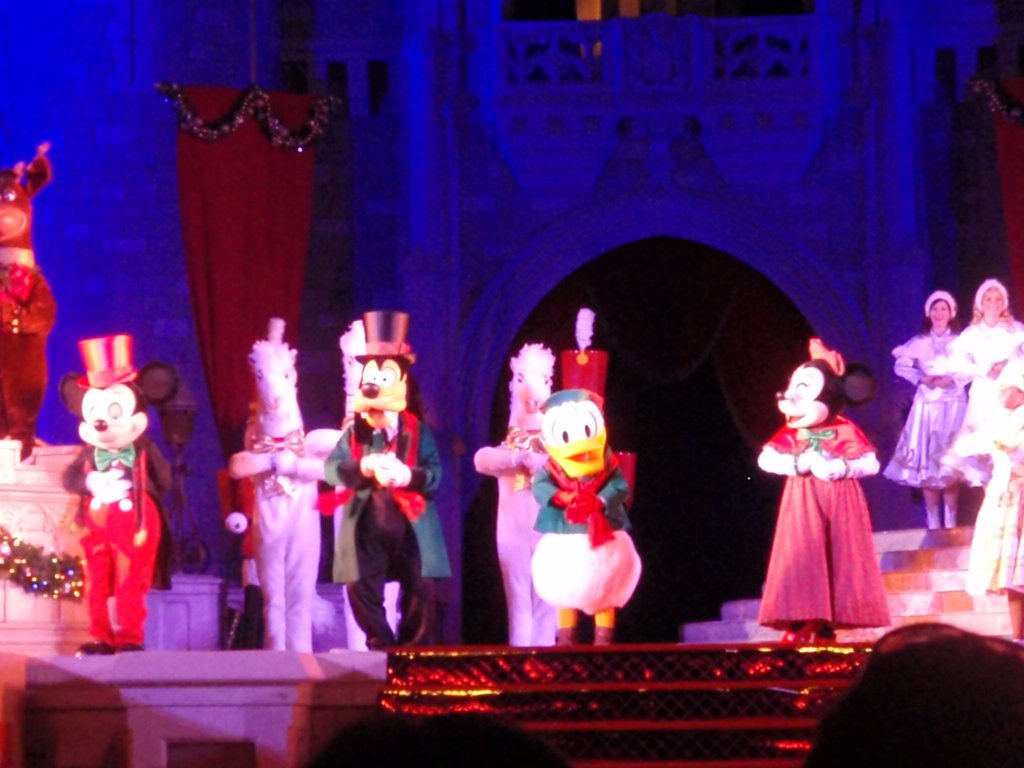 Disney World 2009 768.JPG