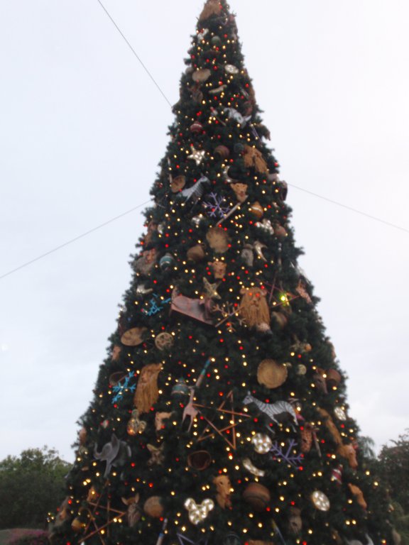 Disney World 2009 795.JPG