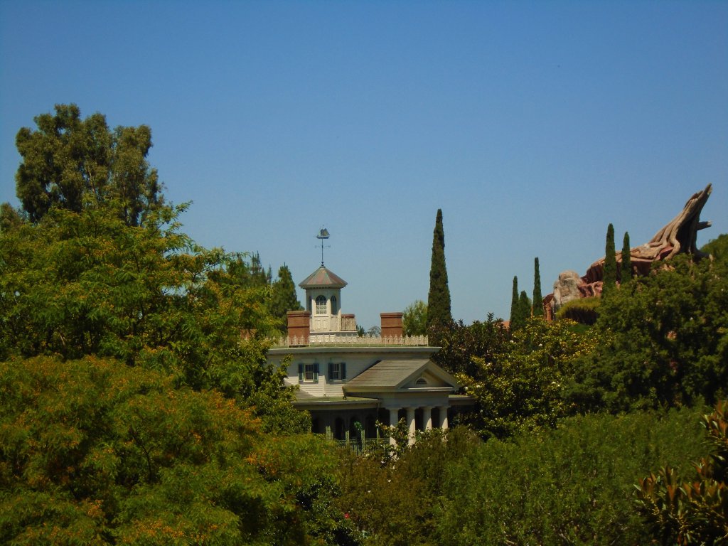 Disneyland is in a Forest.jpg