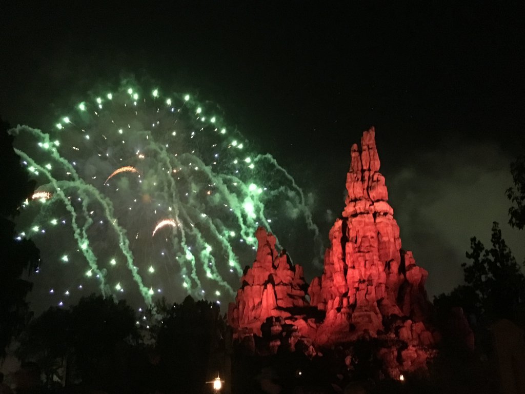 DISNEYLAND JULY 2016 009.JPG