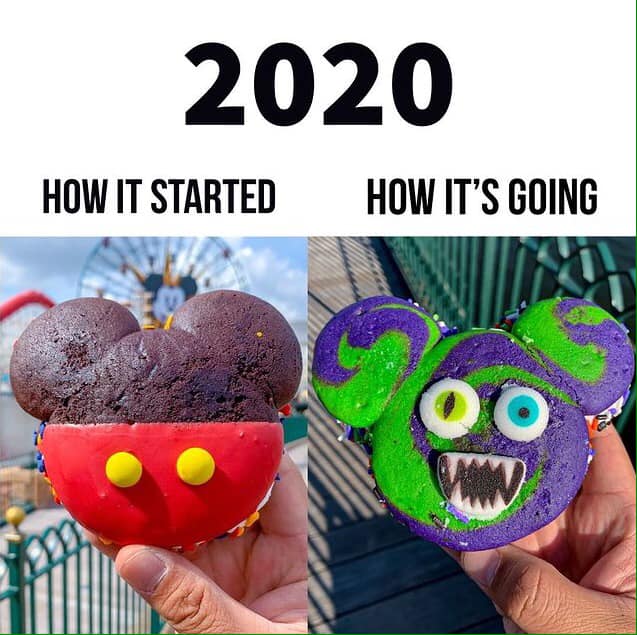 Disneyland's 2020.jpg