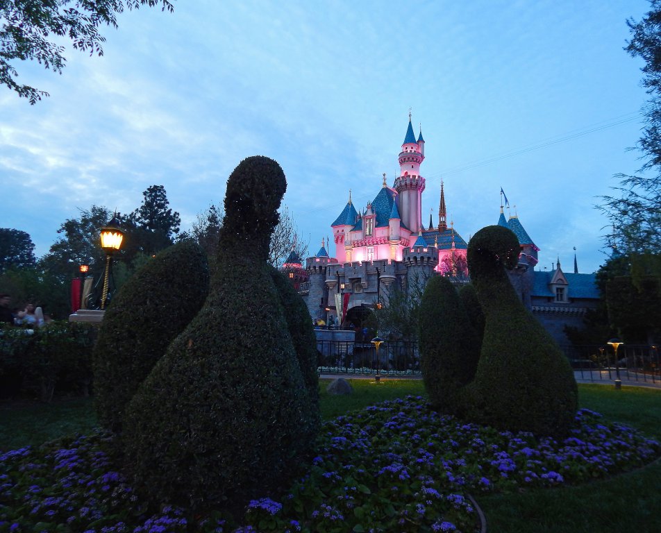 disneylandswanssmall.jpg