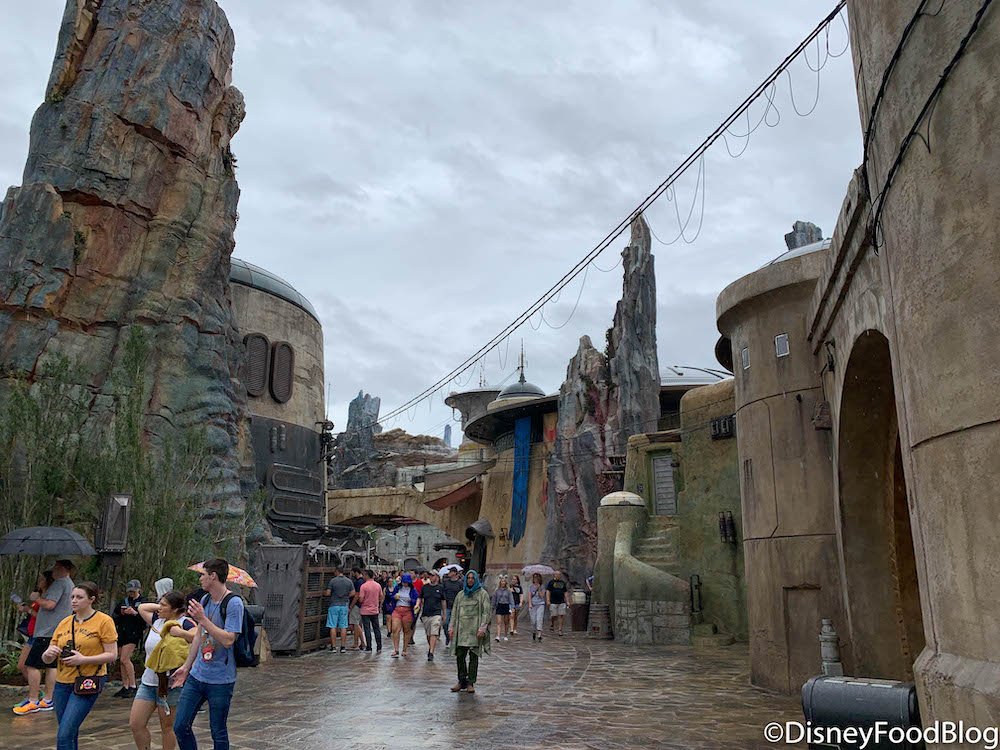 DisneyWorld-GalaxysEdge-Atmosphere-01-14.jpg