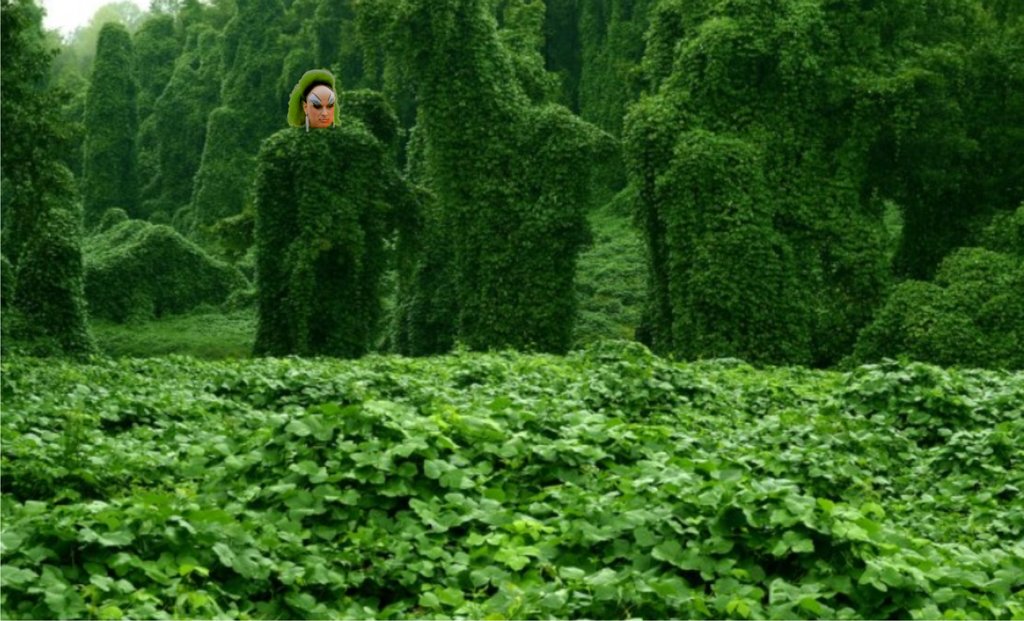 Divine Kudzu.jpg