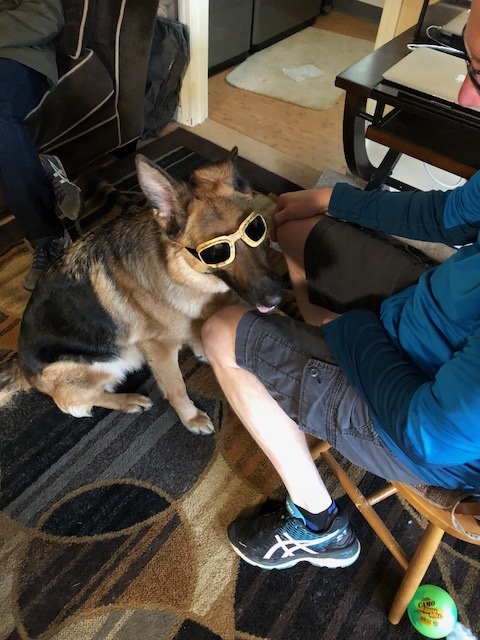 Doggles.jpg