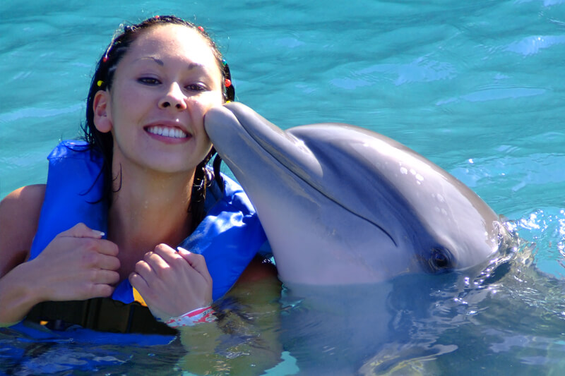 Dolphin Cove 4.jpg