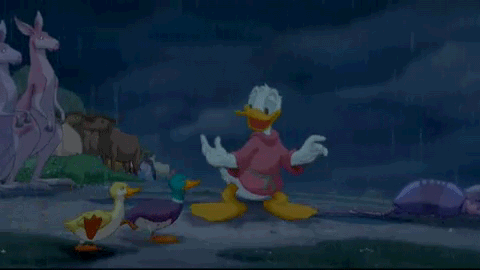 Donald duck and ducks.gif