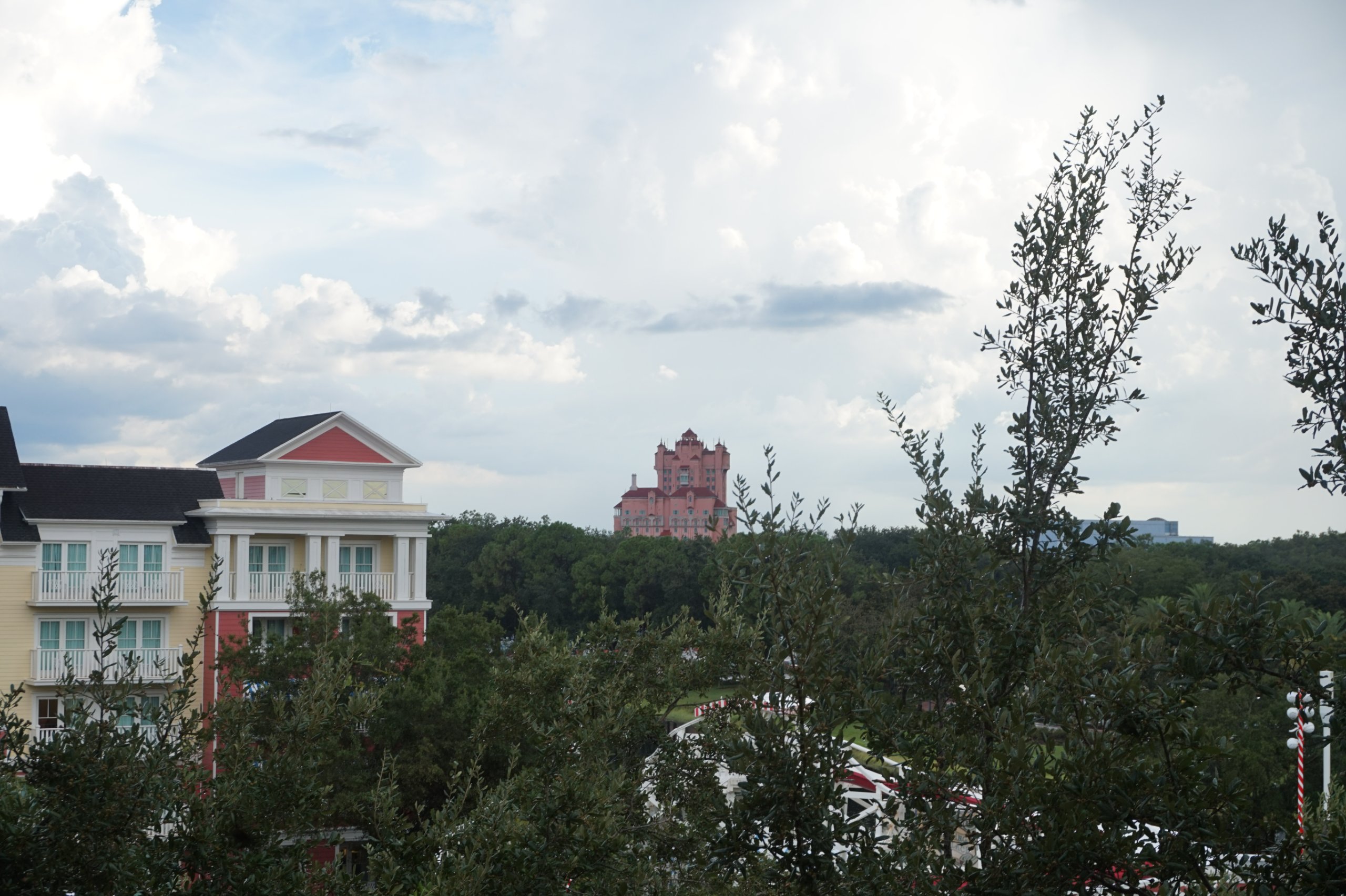 DSC08527.JPG