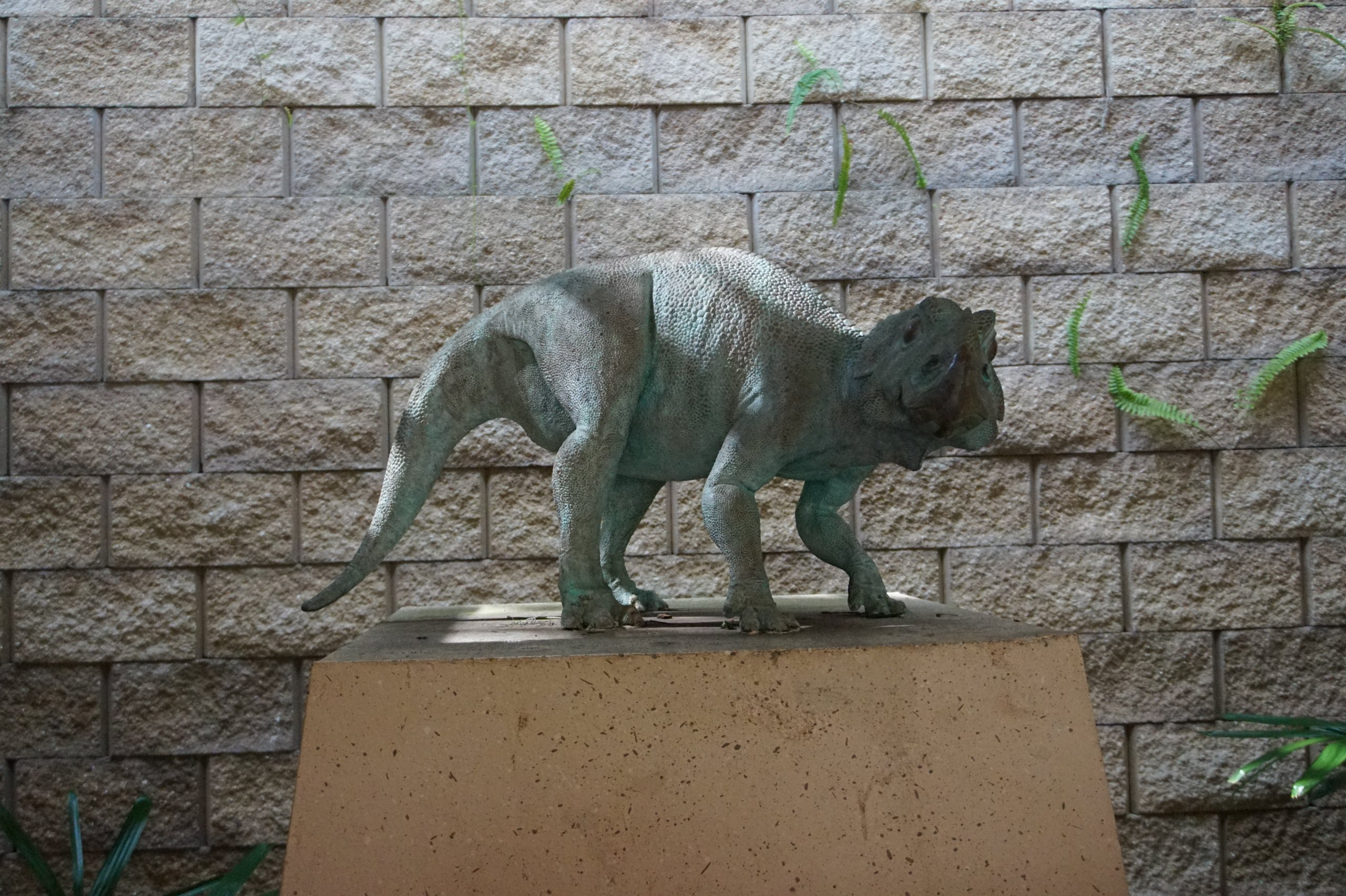 DSC08643.JPG