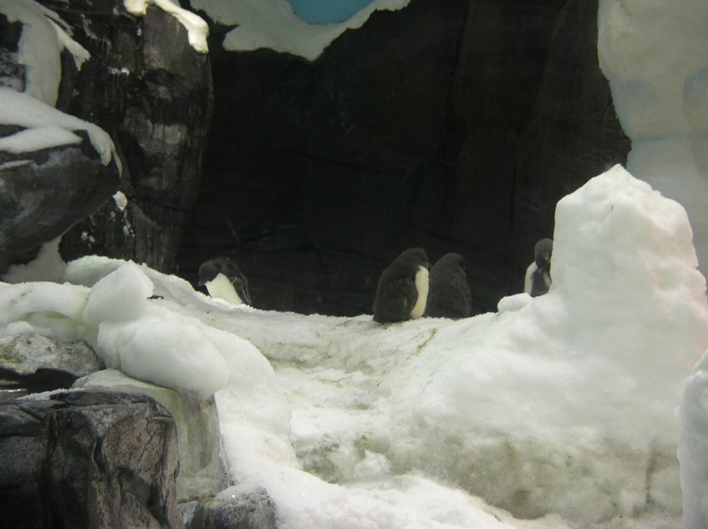 DSCN6978.JPG