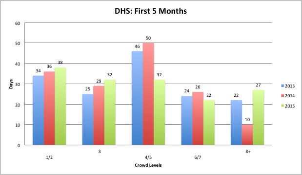 DSH First 5.jpg