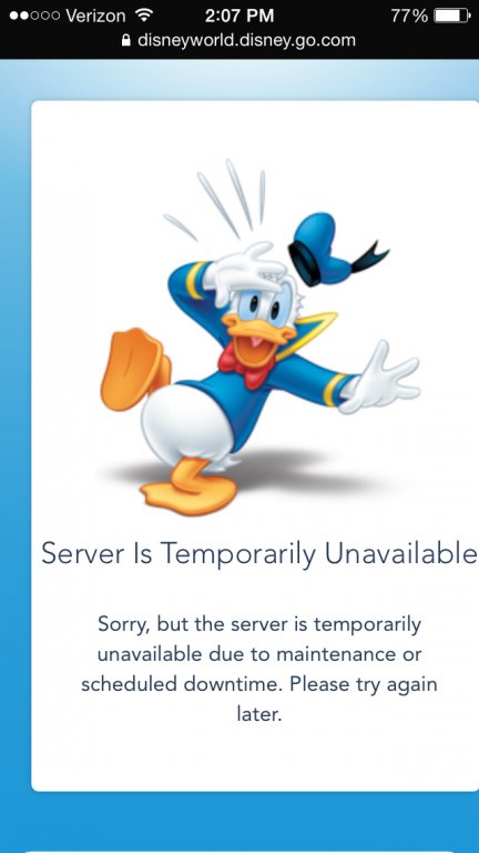 duckserver.jpeg