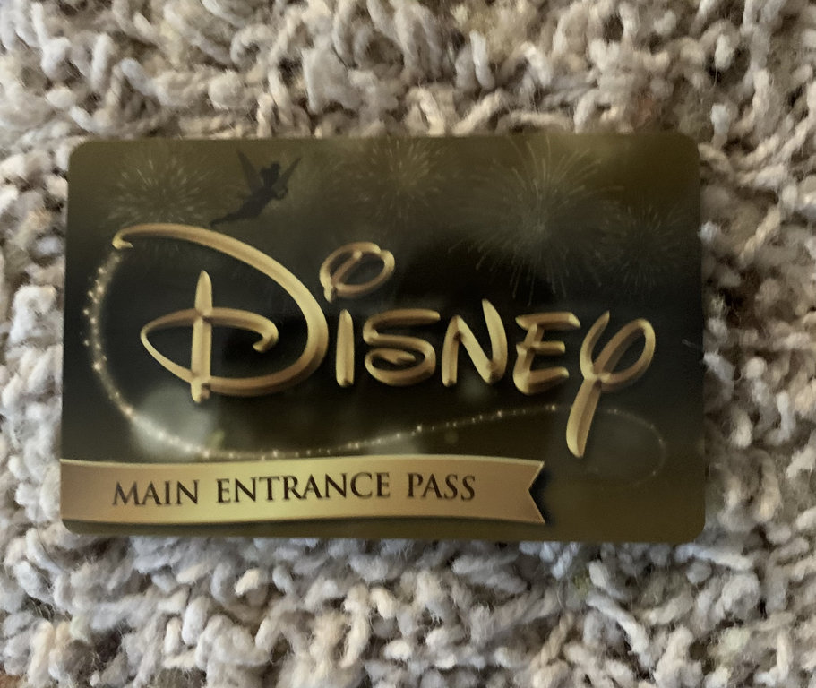 My family has a VIP Main Entrance pass (or lifetime pass) Page 3