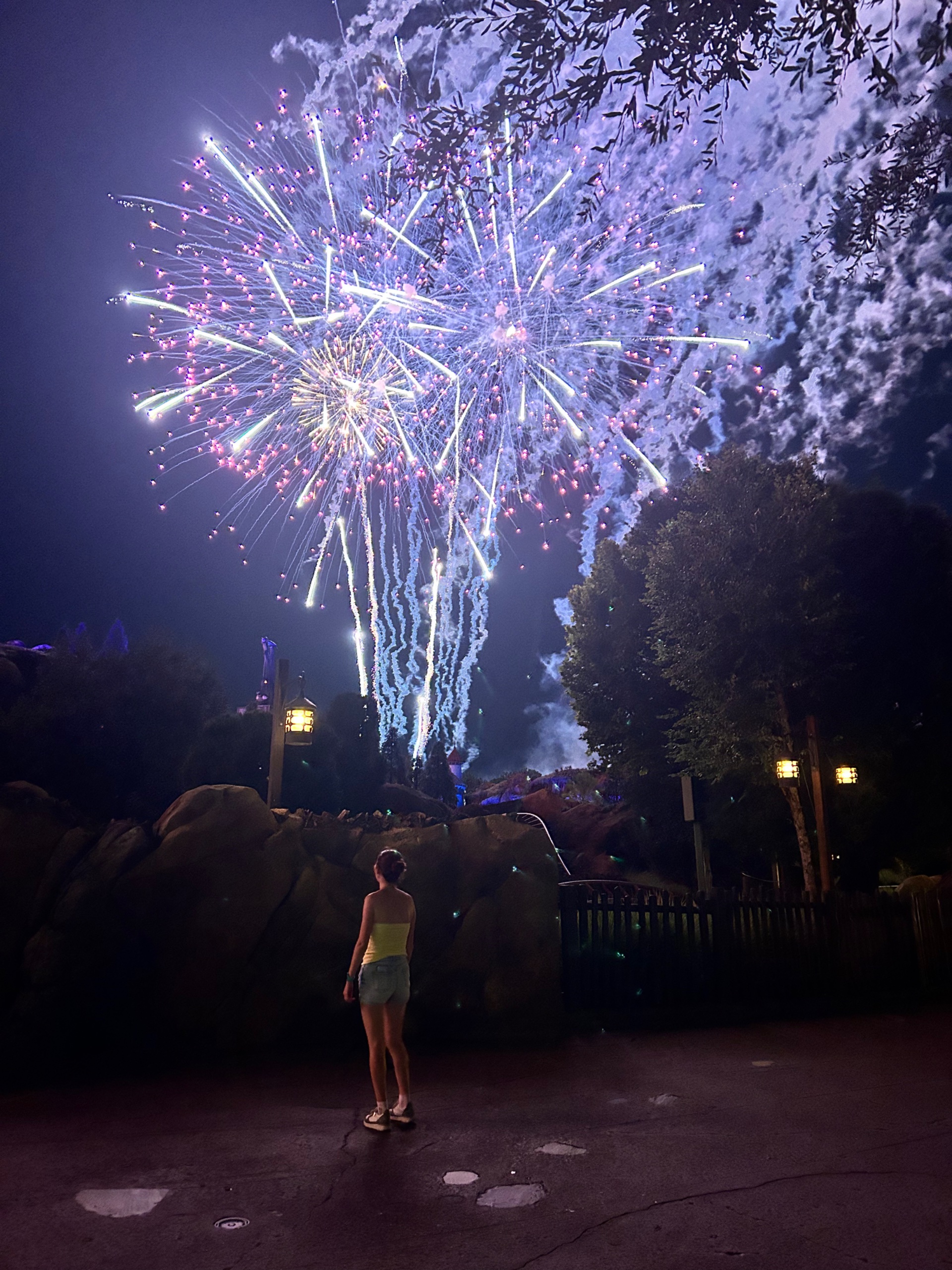 E9054D07-BA86-41E0-89A5-26BA379D4503.jpeg