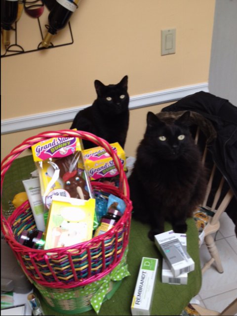 easter cats.JPG