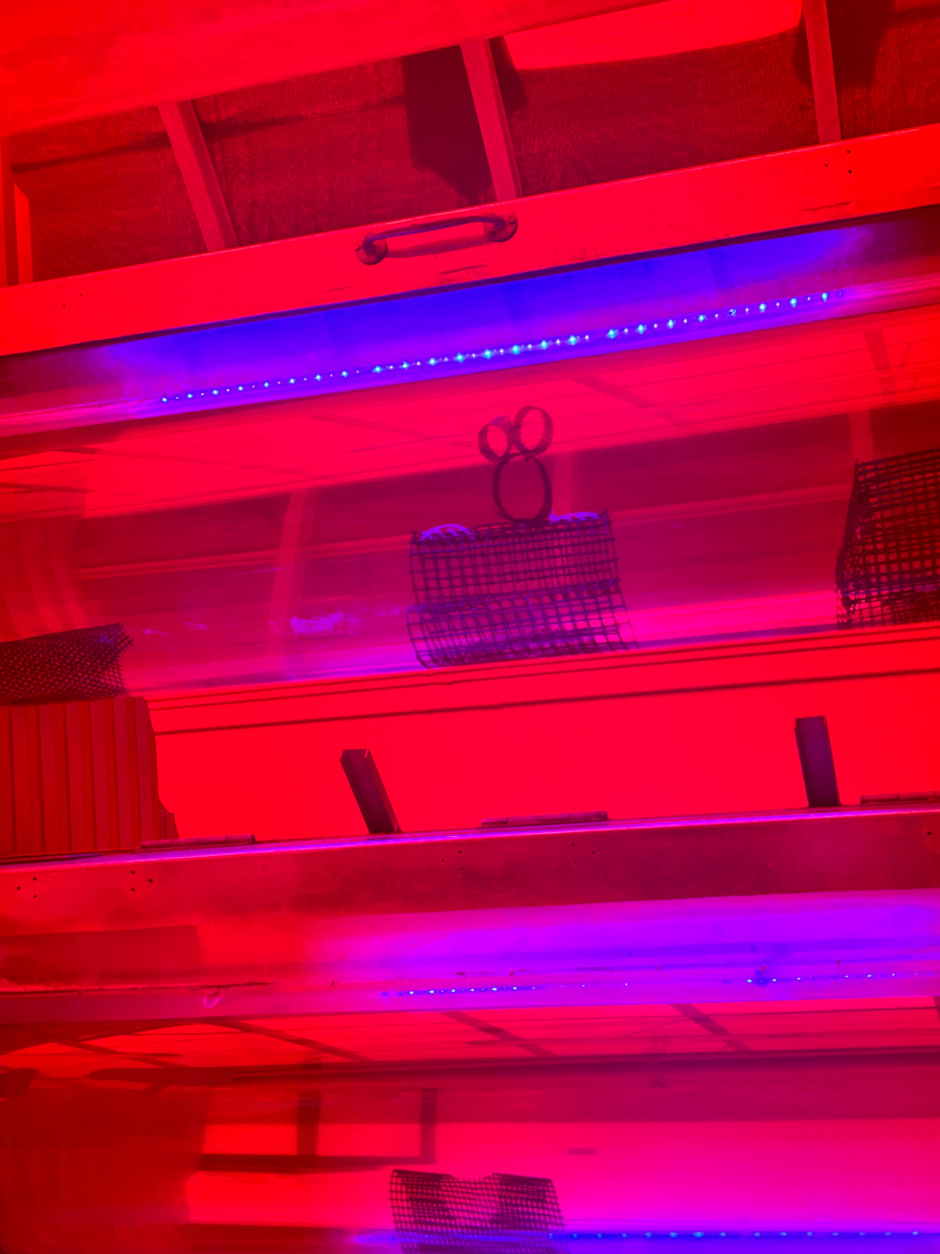 EC540519-21A4-47E3-AA9D-095B635911C0.jpeg