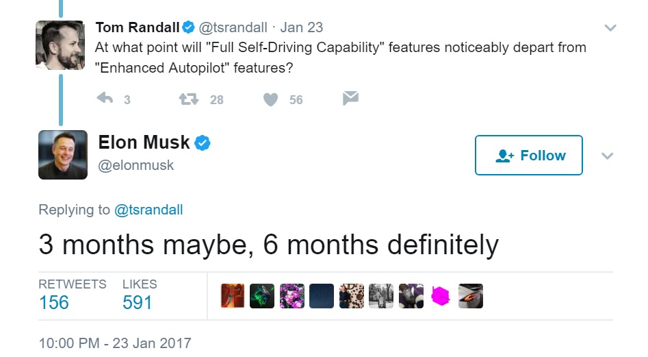 elon.jpg