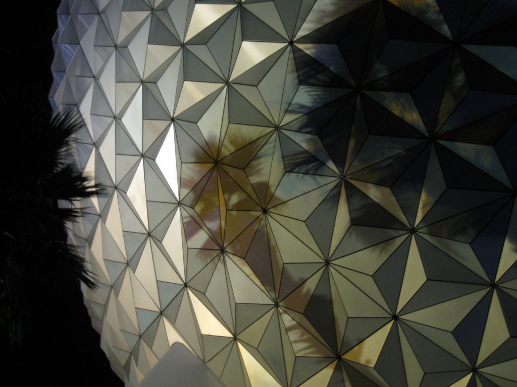 Epcot Ball Palm Shadow.jpg