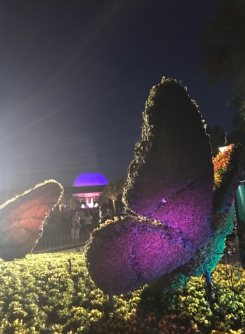 Epcot butterfly topiary.jpg