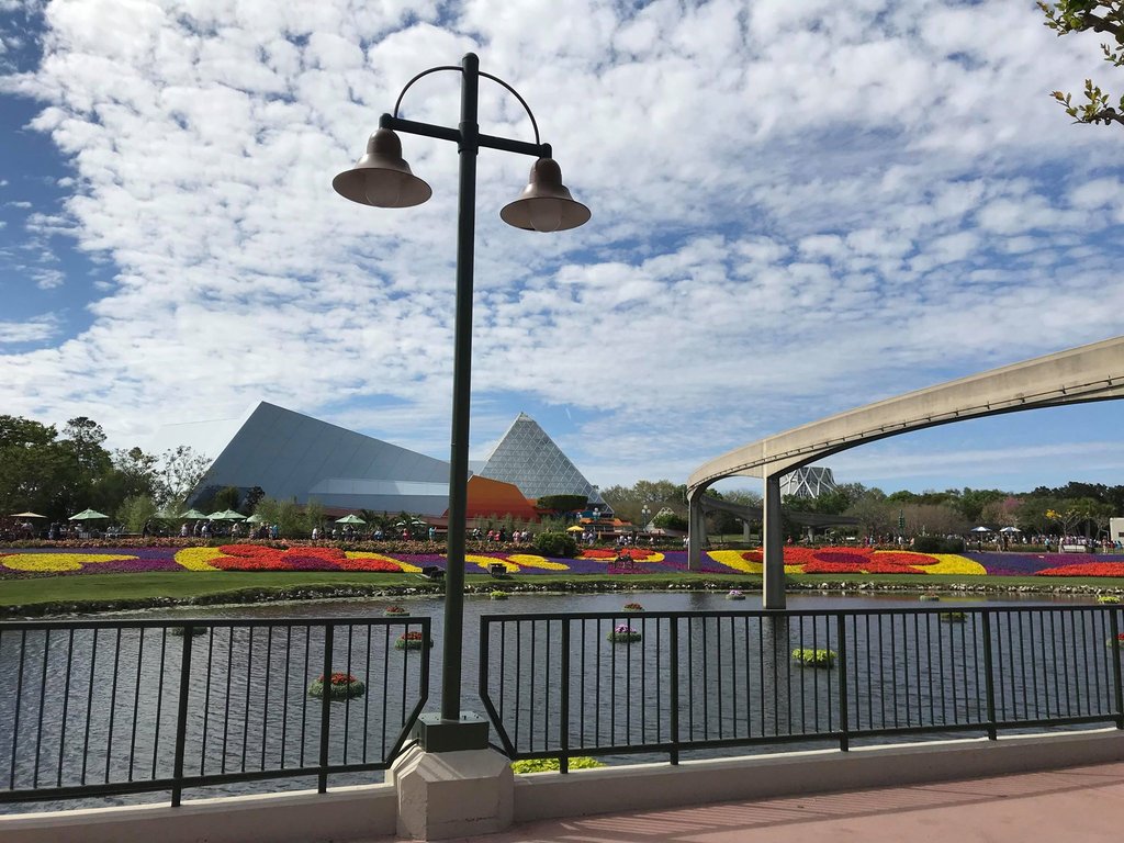 Epcot Flower.jpg