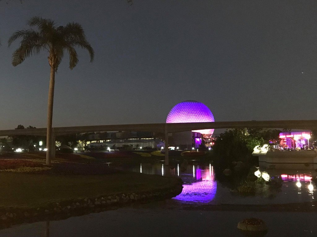 Epcot night.jpg