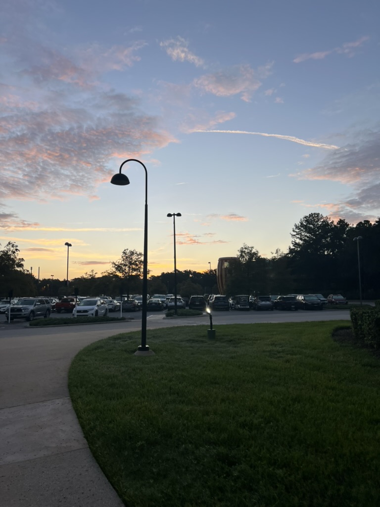 F2AF3510-A010-47C0-AFA5-BB8DA88C3947_1_105_c.jpeg