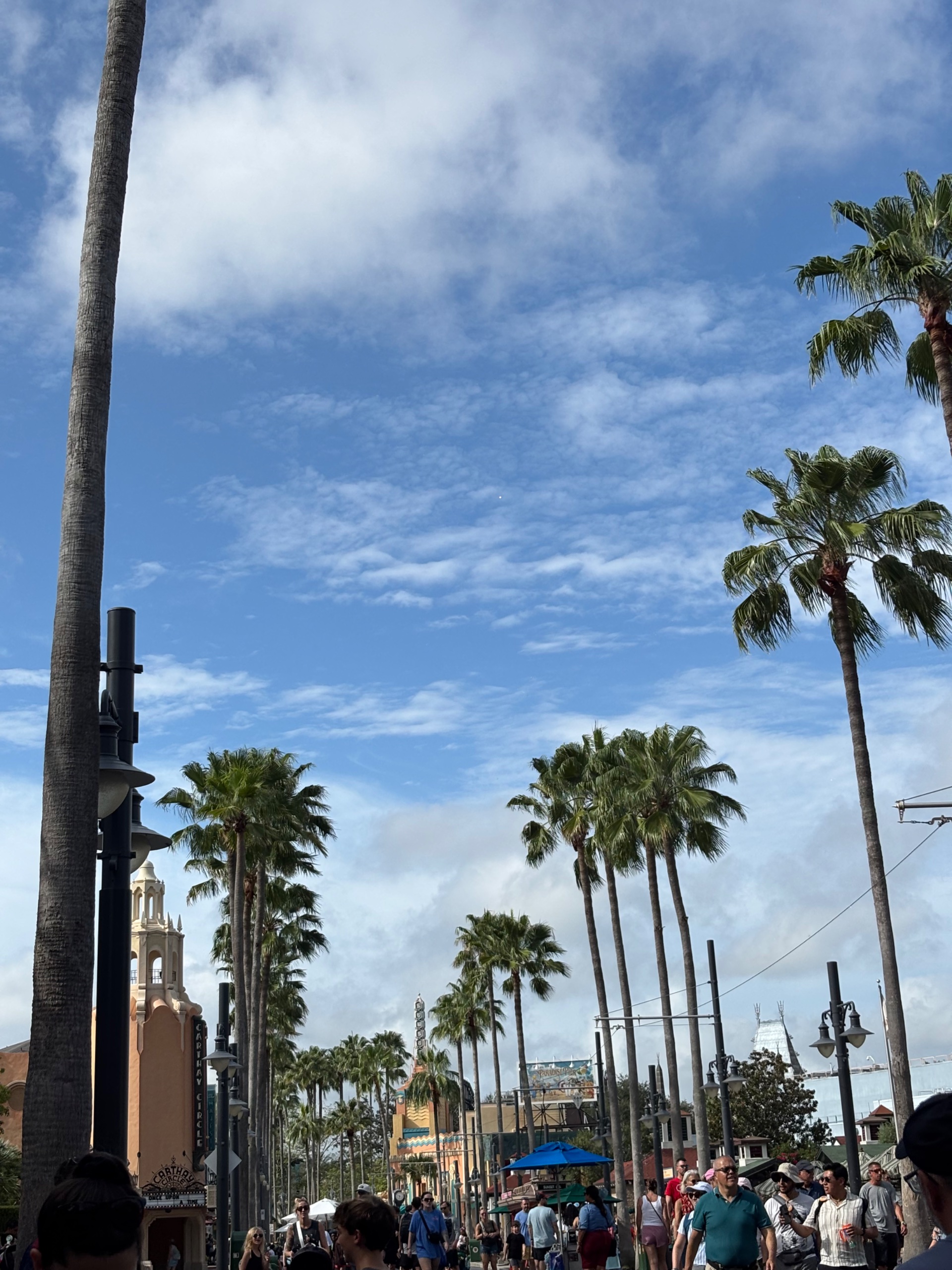 F9B29529-4E37-41E2-A7A8-E887AEA2F003.jpeg