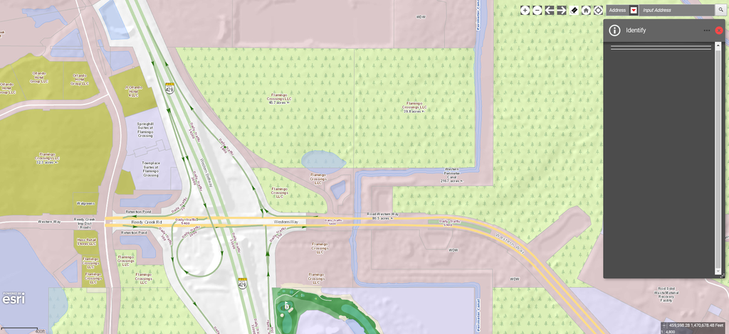 FLAMINGO CROSSINGS LLC MAP 1.png