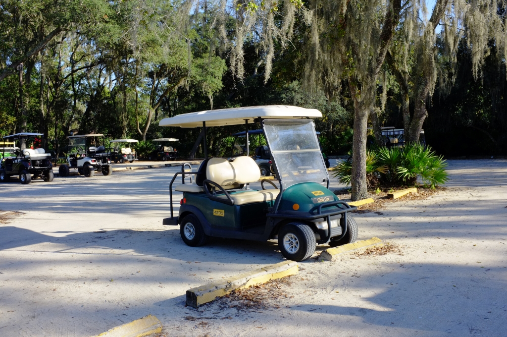 fort wilderness golf cart.JPG