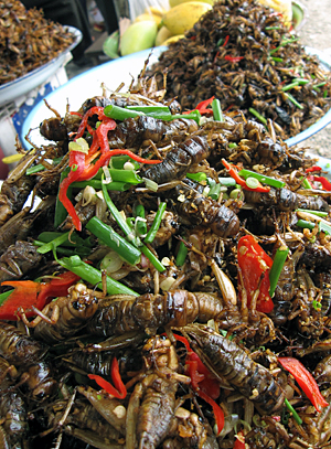 Fried_insects_for_sale_in_Cambodia.jpg