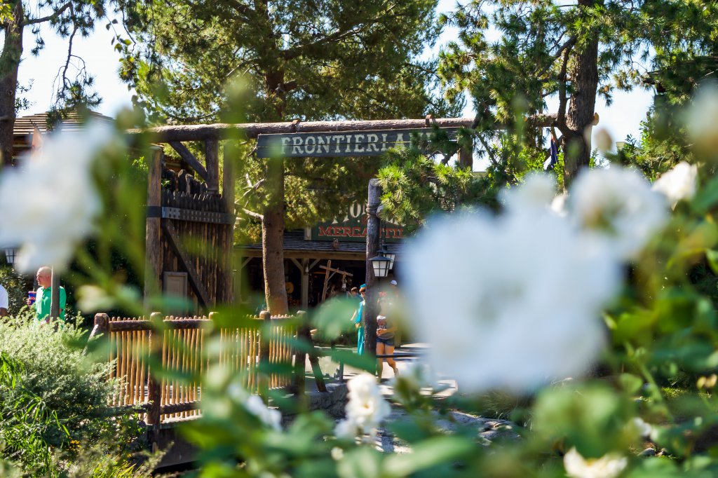 Frontierland_from_Flowers.jpg