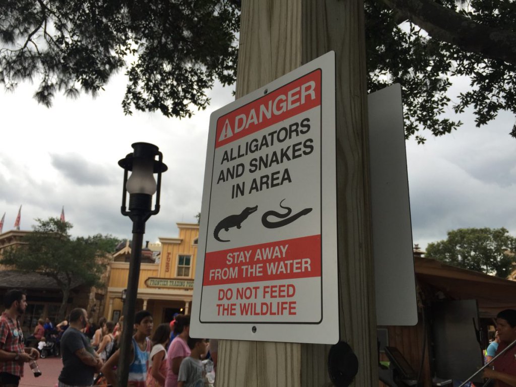 Gator Signs.jpg