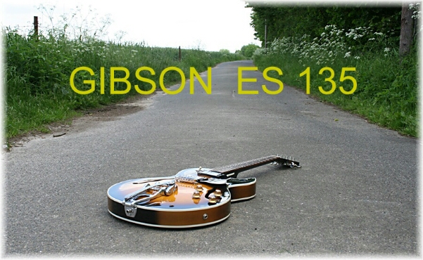 Gibson ES 135 Bild 1.jpg