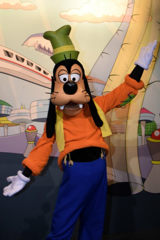 goofy-walt-disney-world-expert.jpg