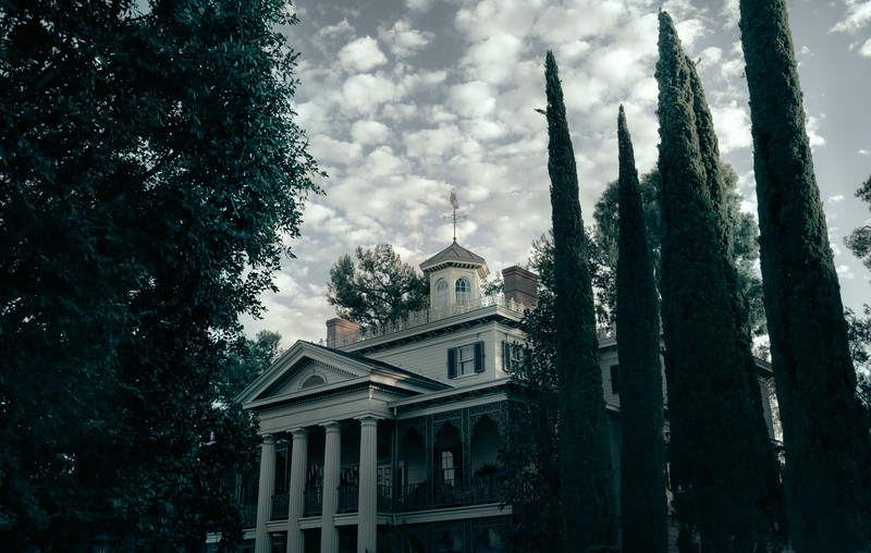 Have You Ever Been in a Haunted Mansion-L.jpg