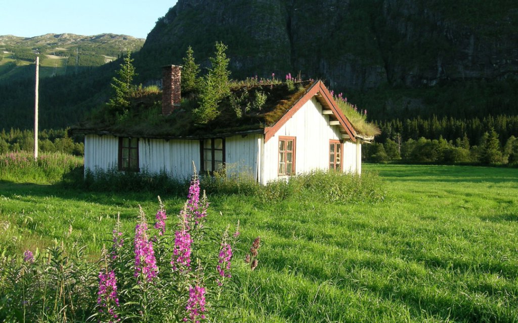 Hemsedal gresstak.jpg