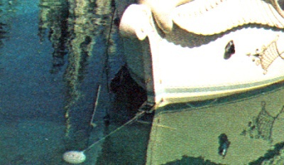 image.jpg