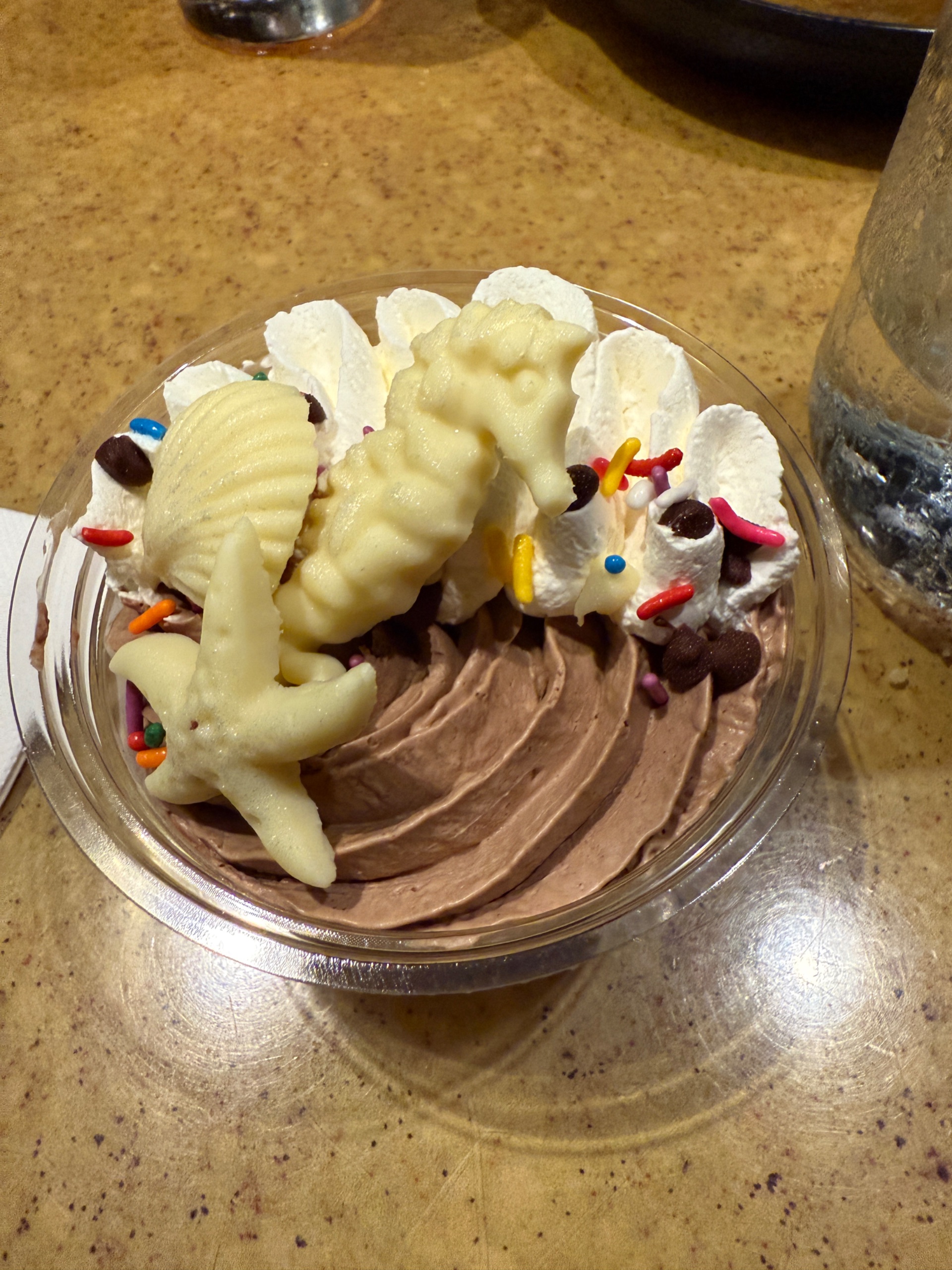 IMG_0006.jpeg
