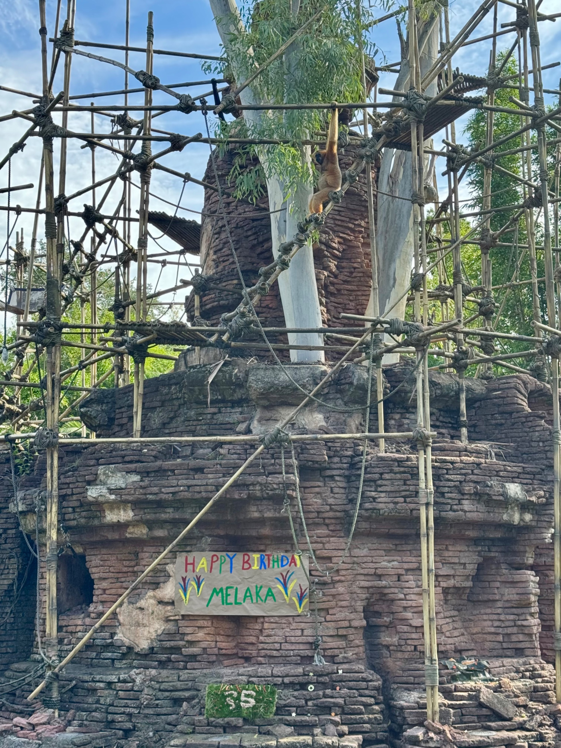 IMG_0040.jpeg