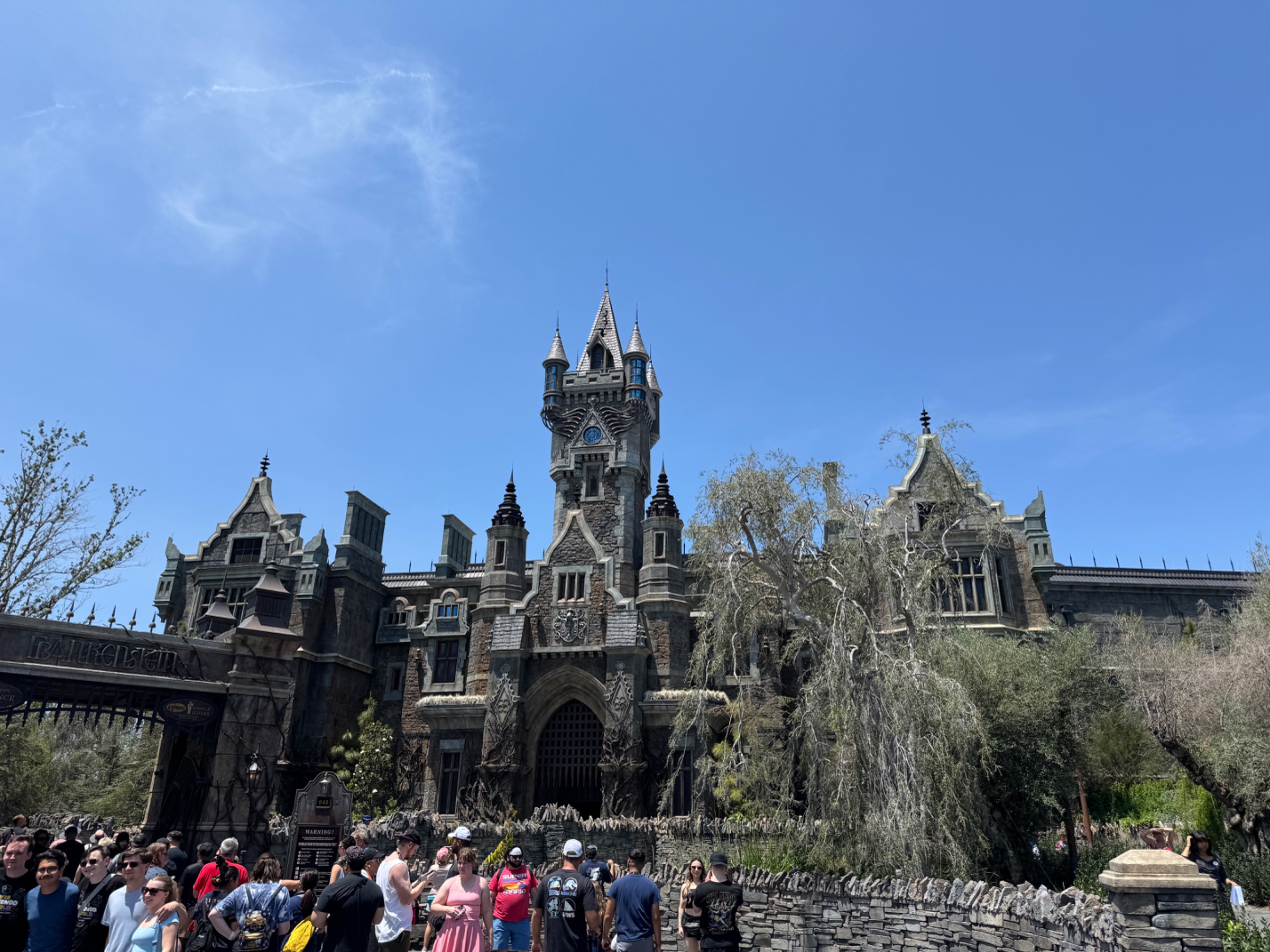 IMG_0316.jpeg