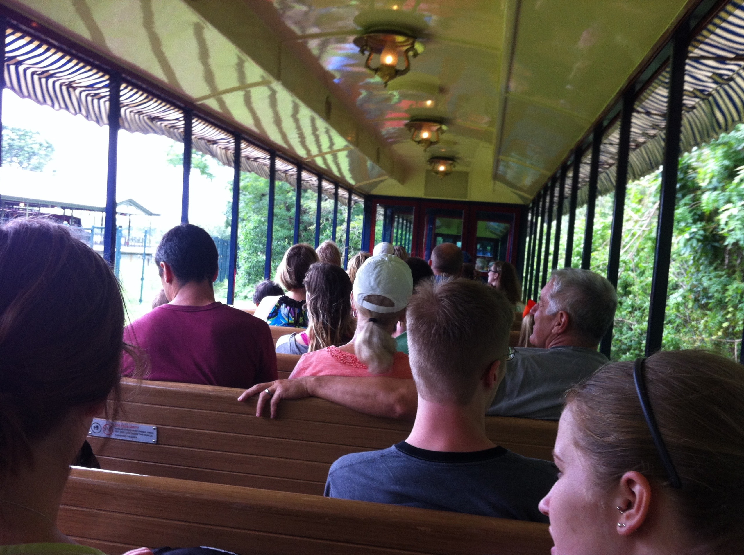 IMG_0333.jpeg