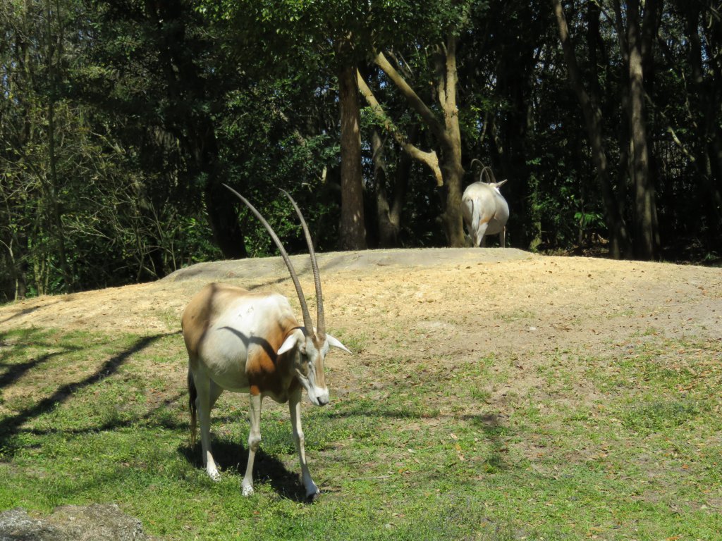 IMG_0348.JPG